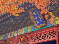 -香山公园
