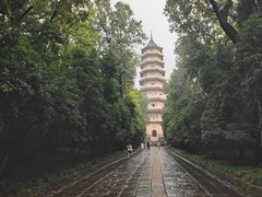 -灵谷景区