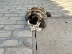 -北京鲁迅博物馆(北京新文化运动纪念馆鲁博馆区)