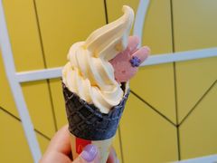 -麦当劳(塔园路店)