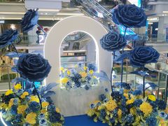 -红星美凯龙北京至尊MALL(东四环中路店)