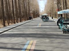 -日照海滨国家森林公园