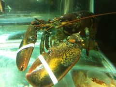 -稻香迎囍皇宫(港惠店)