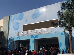 -南宫温泉水世界