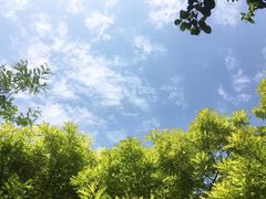 -西南交通大学(九里校区)