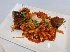 松鼠桂鱼-洋洋中餐馆·SINCE 1997(信投店)
