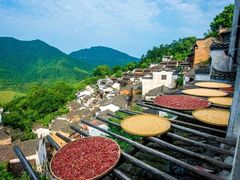 -婺源风景区