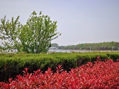 -水上明月·湖景餐厅