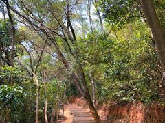 -梧桐山风景名胜区