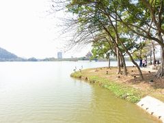 -顺峰山公园