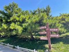 -塘沽森林公园