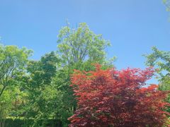 -中关村生命科学园