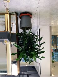 -变画·发型STUDIO