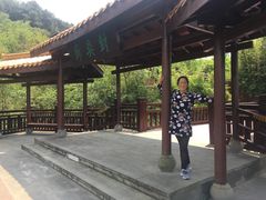 -铁山坪森林公园