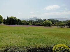 -福建鲤鱼洲酒店