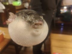 -永安鱼庄·镇江菜(丁卯店)