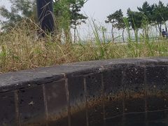 -青岛海泉湾度假区温泉