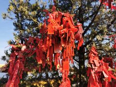 -终南山南五台景区