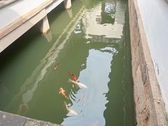 -张家港凤凰山景区恬庄古街