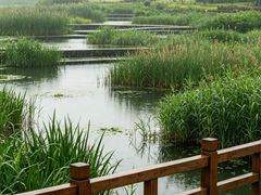 -活水公园