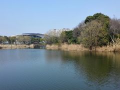 -新江湾城公园