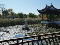 -水西公园