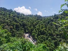 -海南热带雨林国家公园吊罗山景区