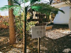 -安德鲁户外烧烤帐篷营地(马泉营店)