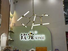 -钦宠·猫咪售卖·洗护·寄养(东圃旗舰店)