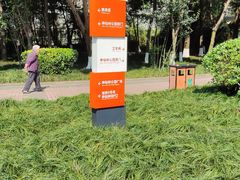 -神仙树公园
