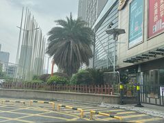 -万达广场(南昌红谷滩店)