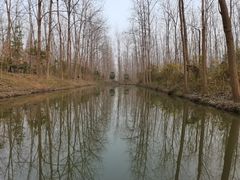 -合肥滨湖国家森林公园