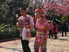-洛龙公园