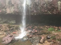 -四明山国家森林公园