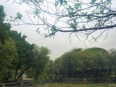 -粤晖园