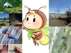 -园博园(地铁站)