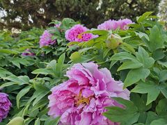-大钟寺古钟博物馆