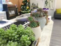 -榕树上·瑜伽普拉提