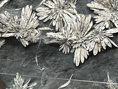-贵州省地质博物馆