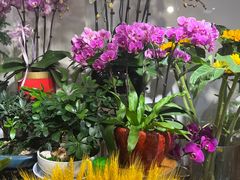 -爱尚花坊(大林路店)