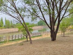 -野鸭湖国家湿地公园