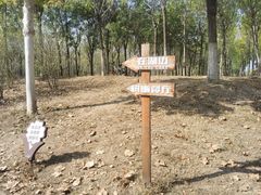 -天津东丽湖风景区