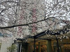 -玛格萝妮比萨屋(四平店)