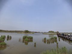 -西青郊野公园