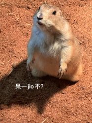 -Zoolung Zoolung动物主题公园(海信广场店)