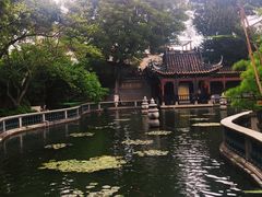 -碧江金楼