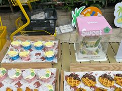 -帕帕拉兹宠物(亚洲旗舰店)