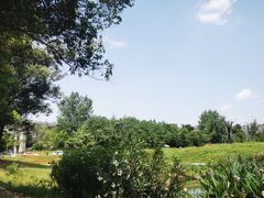 -两河城市森林公园