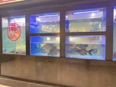 -點無缺茶楼·海鲜酒家(世博店)