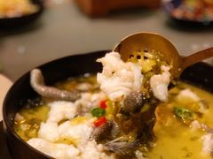 传统特色酸菜海青斑-君悦酒店·1881·北京烤鸭